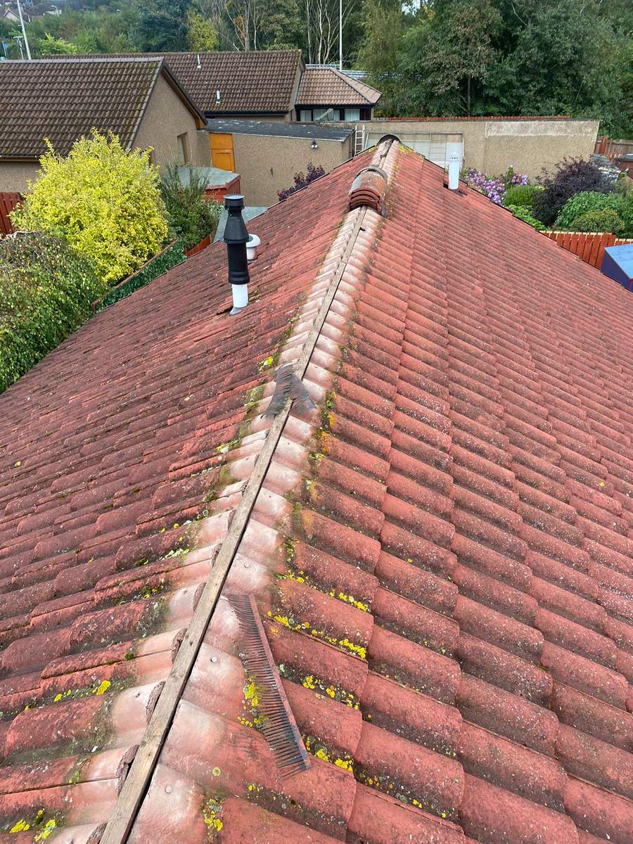 Roof Repairs by Easy Roofing